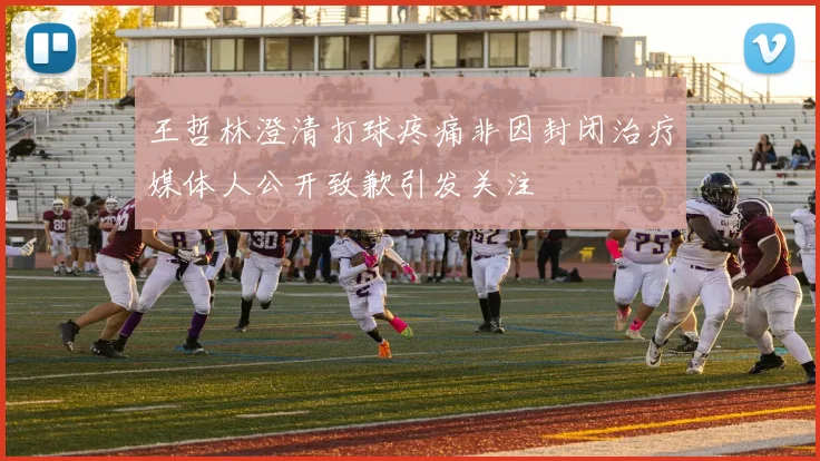 王哲林澄清打球疼痛非因封闭治疗媒体人公开致歉引发关注