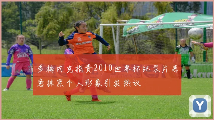 多梅内克指责2010世界杯纪录片恶意抹黑个人形象引发热议