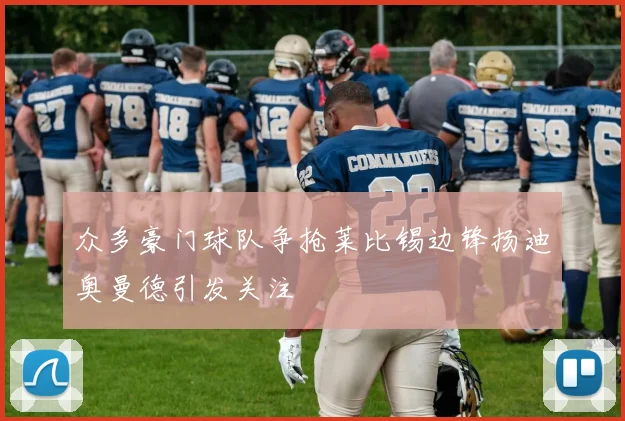 众多豪门球队争抢莱比锡边锋扬迪奥曼德引发关注