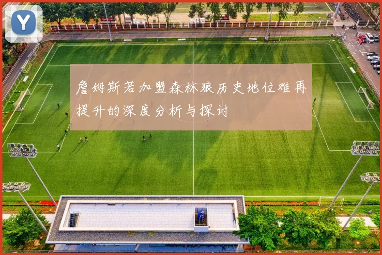詹姆斯若加盟森林狼历史地位难再提升的深度分析与探讨